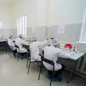 Lab Image