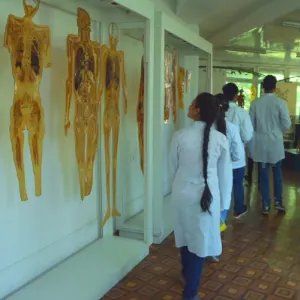 Lab Image