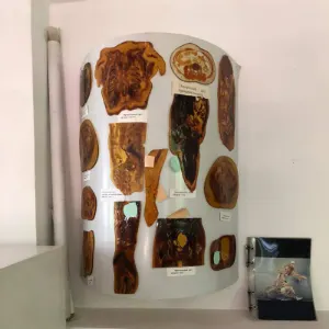 Lab Image